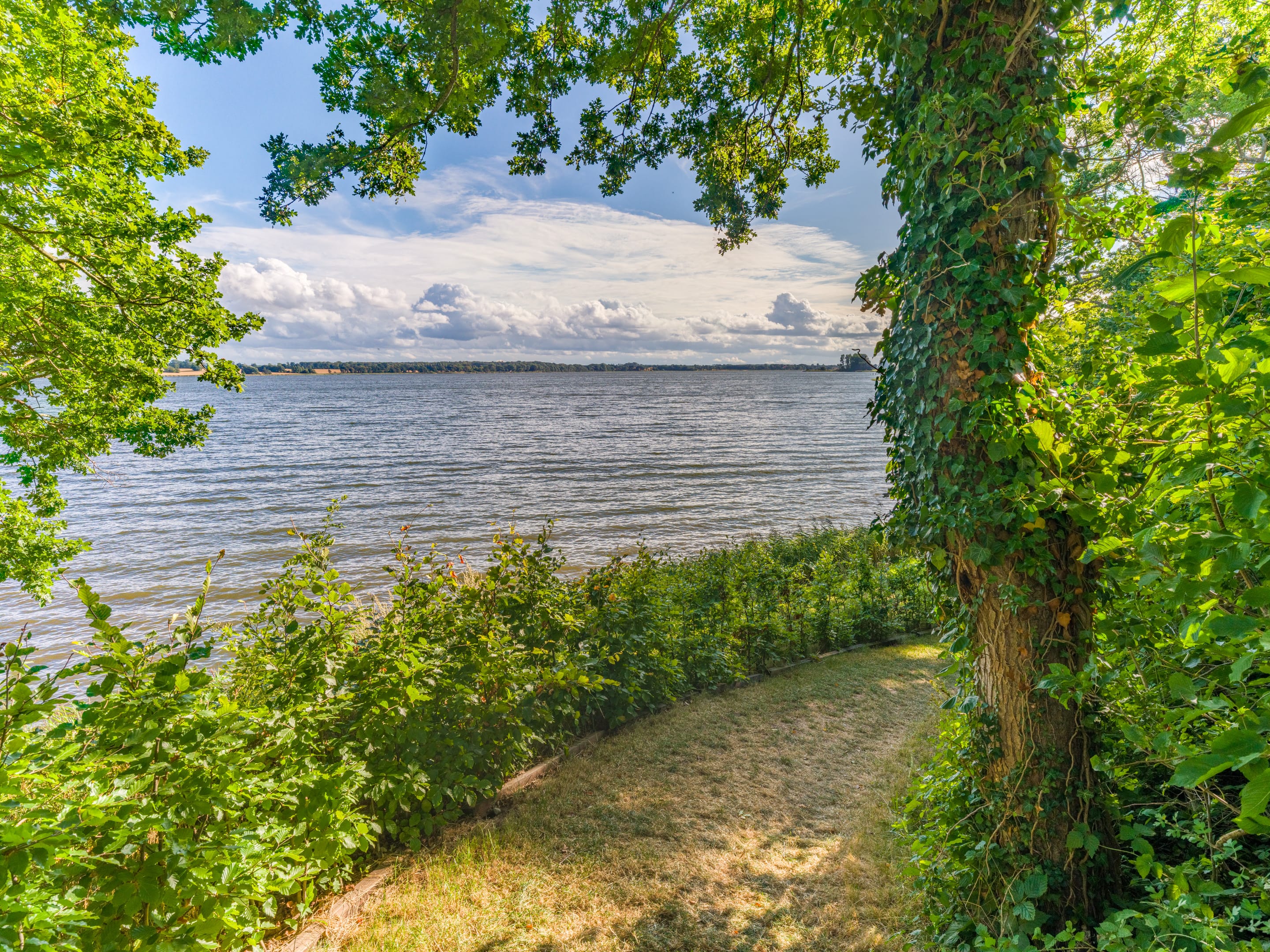 Naturpfad vom Garten hinunter ans Wasser der Schlei