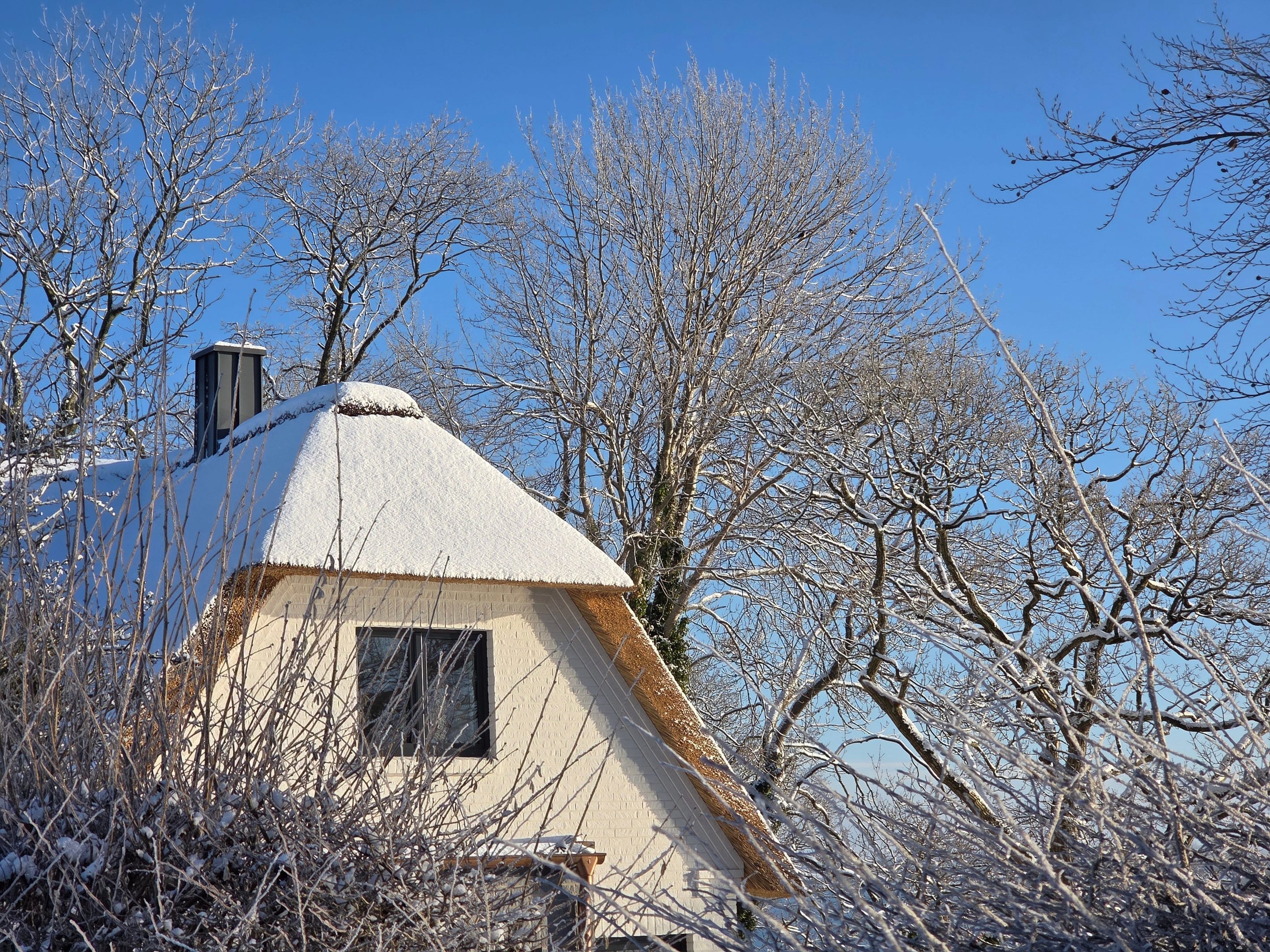 Reetdach von Karschau 11 unter Schnee vor blauem Winterhimmel