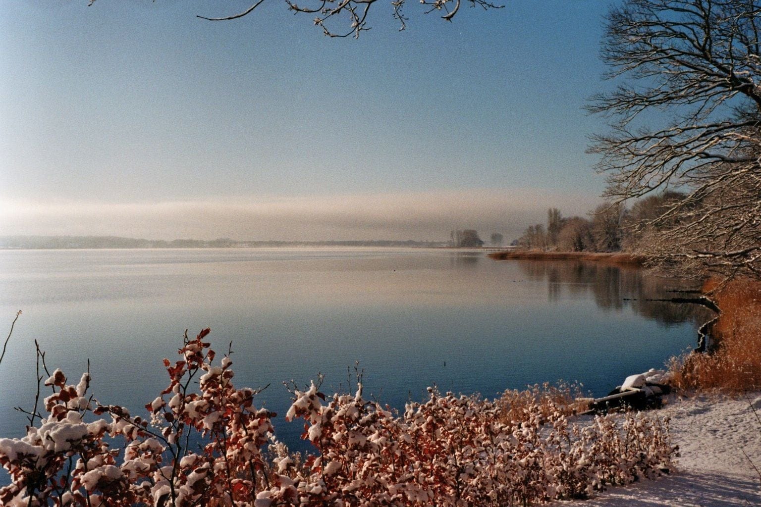 Weiter Blick über die winterliche Schlei mit verschneiten Buchenblättern