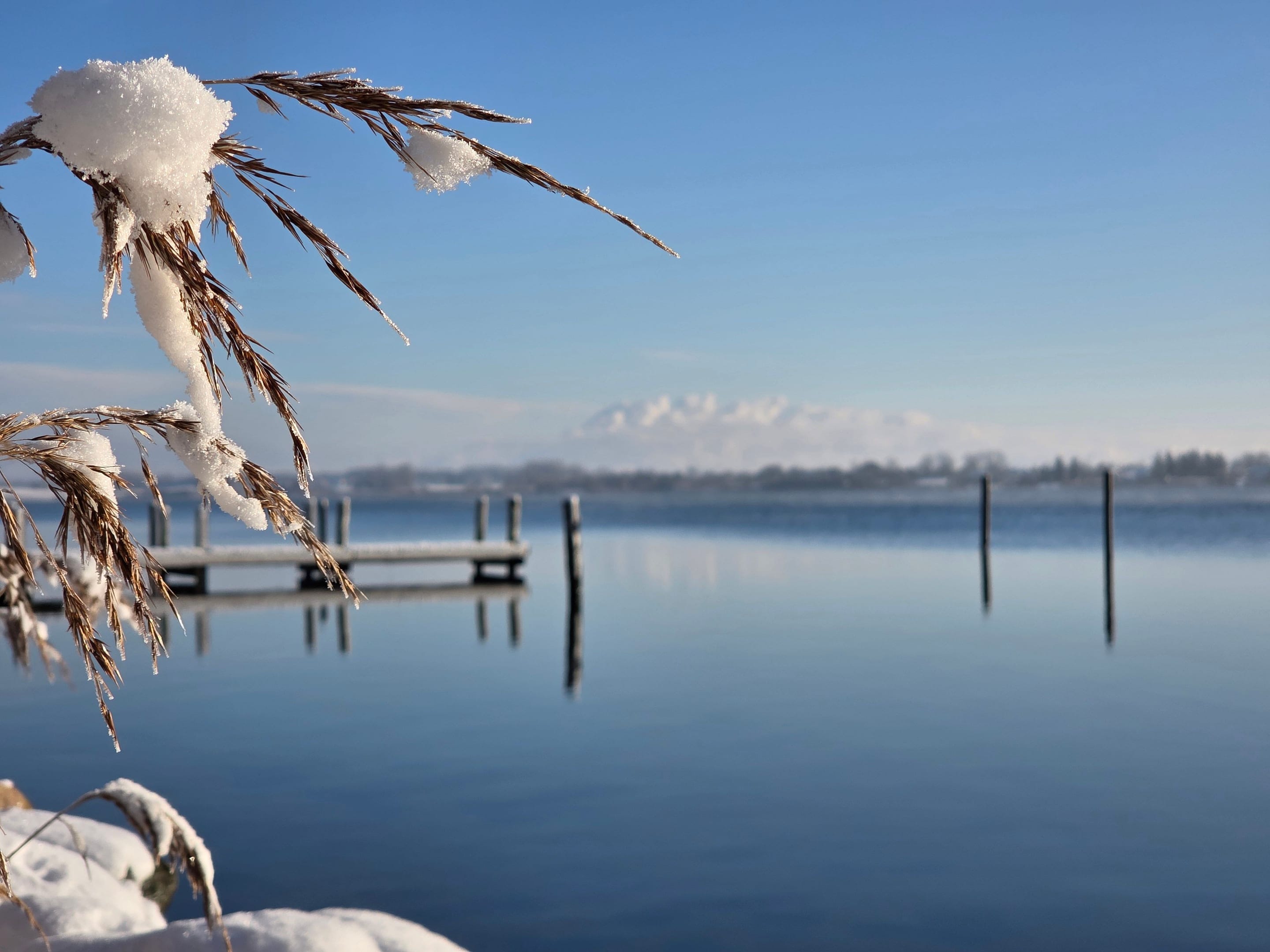 Steg an der Schlei mit raureifbedecktem Schilf und Wolkenbank über dem Wasser